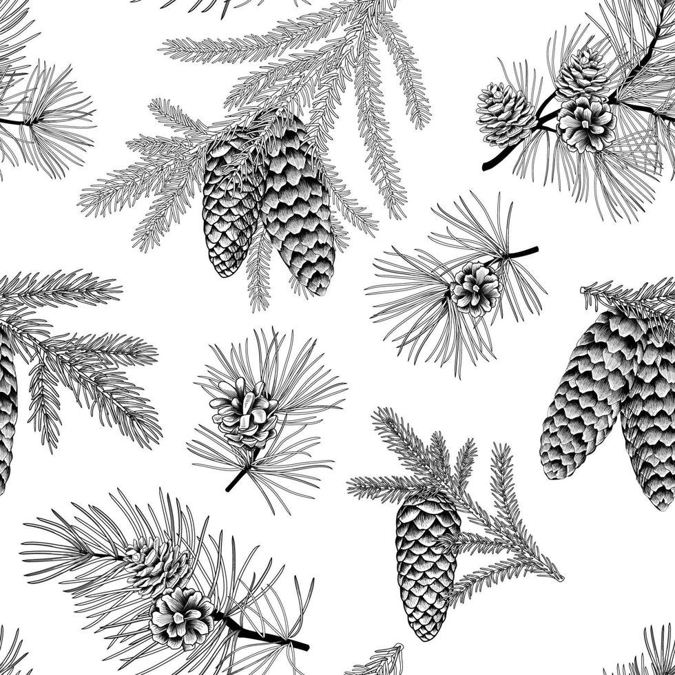 patrón floral transparente de vacaciones de navidad con abeto, pino y conos. fondo de ramas de árbol de navidad de hoja perenne de invierno en estilo de arte de línea dibujado a mano de grabado. ilustración vectorial vector