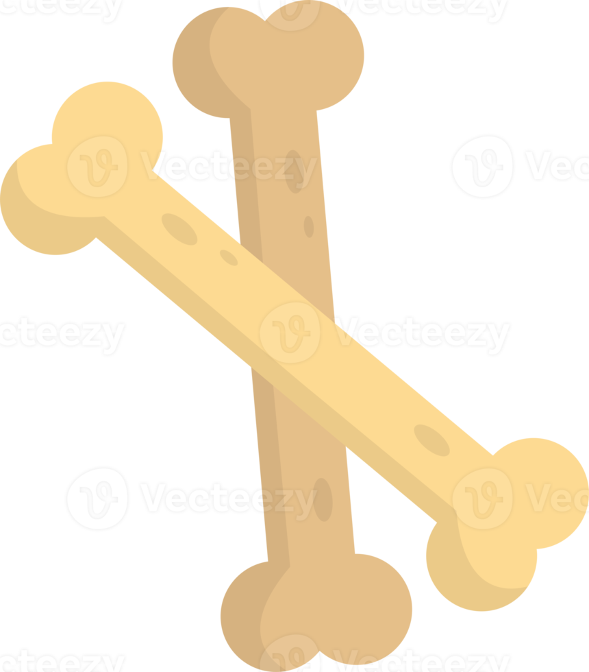 bone illustration in minimal style png