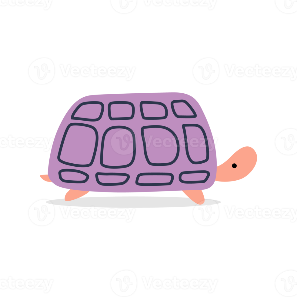 karikaturschildkrötenillustration lokalisiert auf transparentem hintergrund png