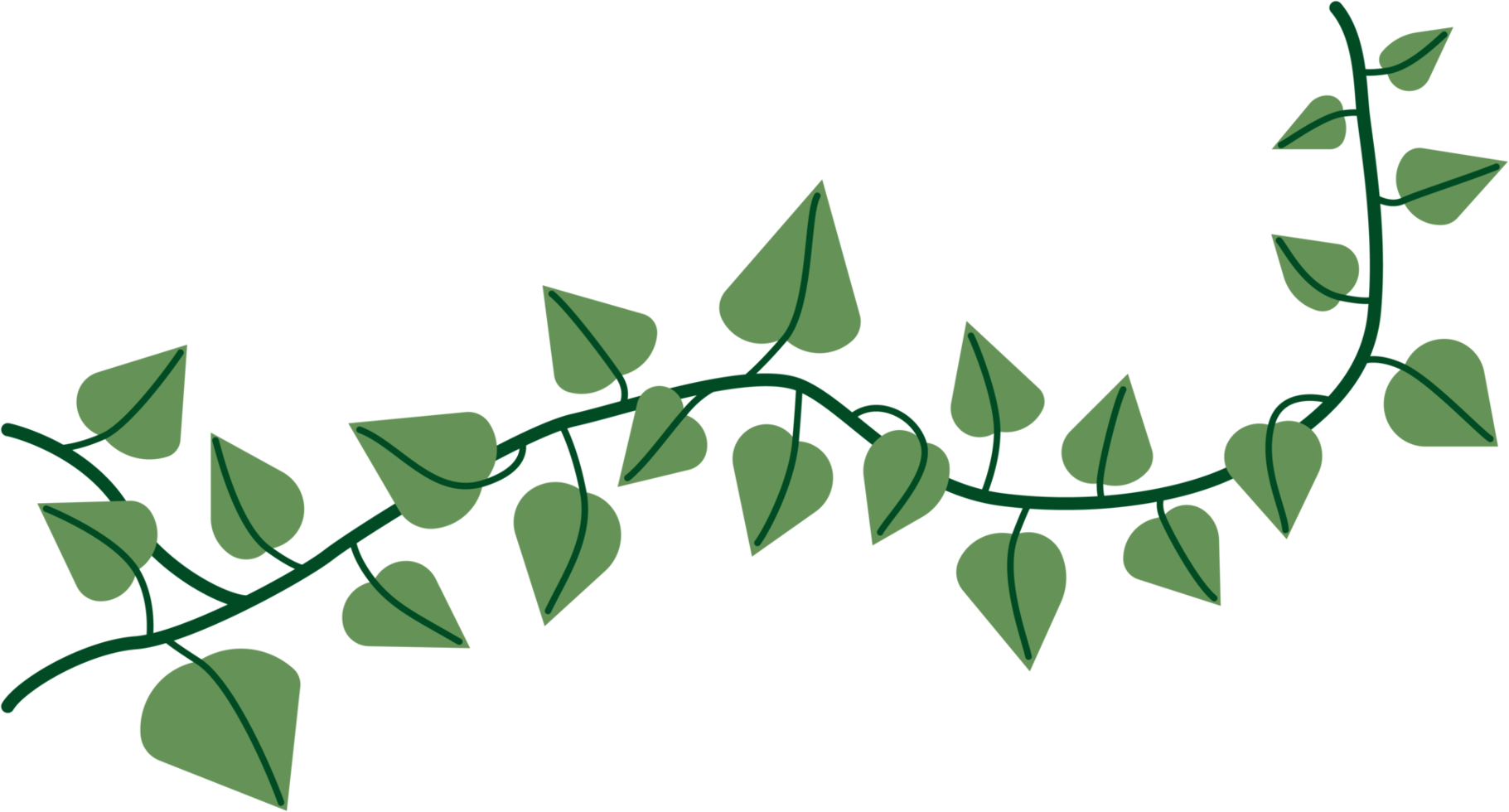 Simplicity ivy freehand drawing png