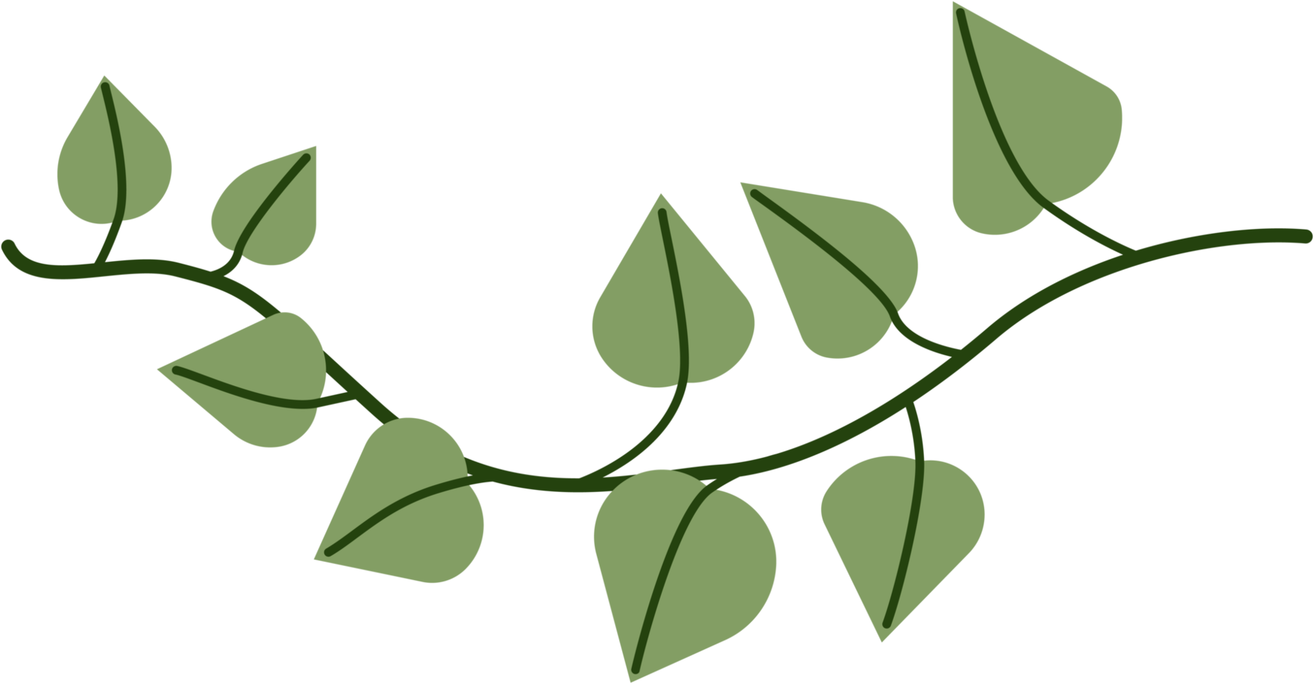 Simplicity ivy freehand drawing png