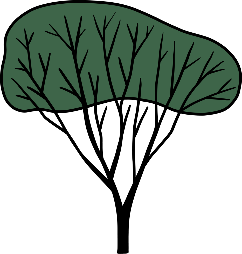 simplicity tree freehand drawing png