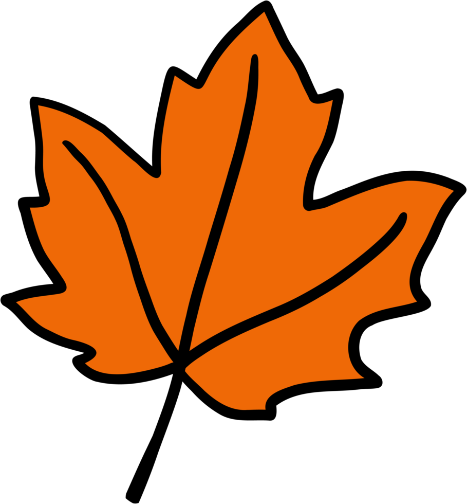 simplicity maple freehand drawing png