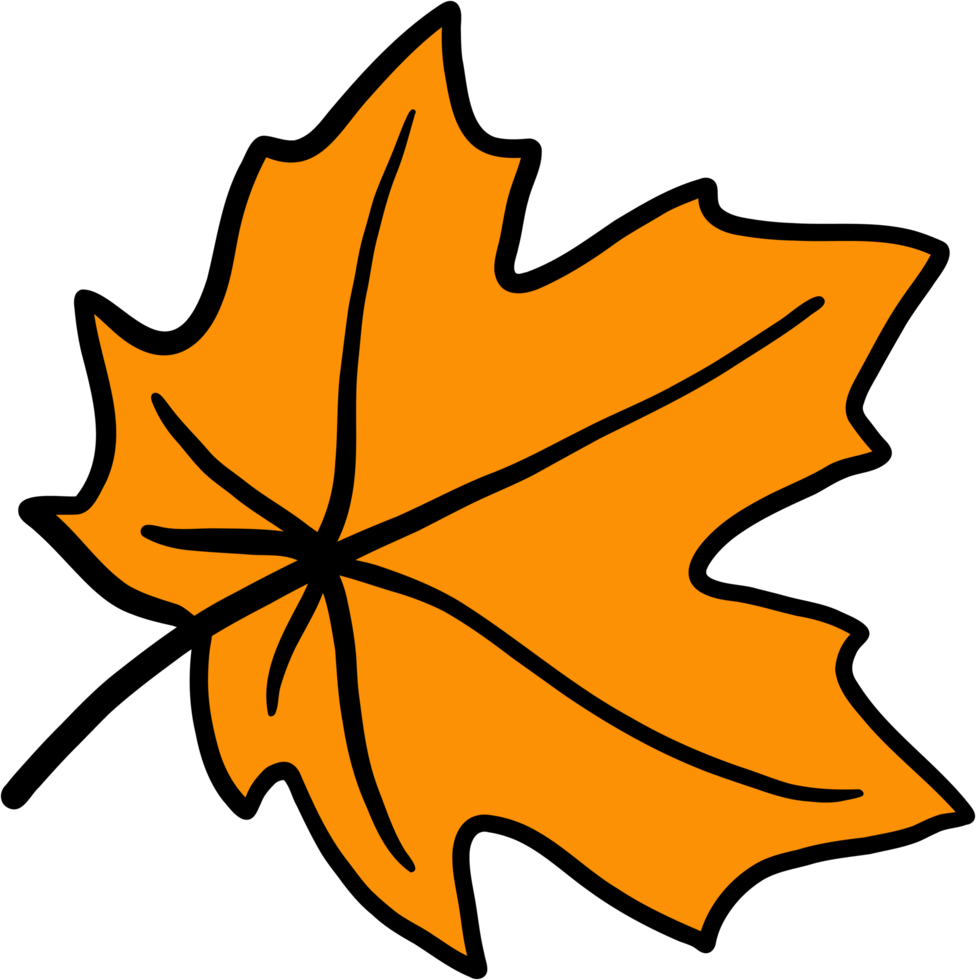 simplicity maple freehand drawing png