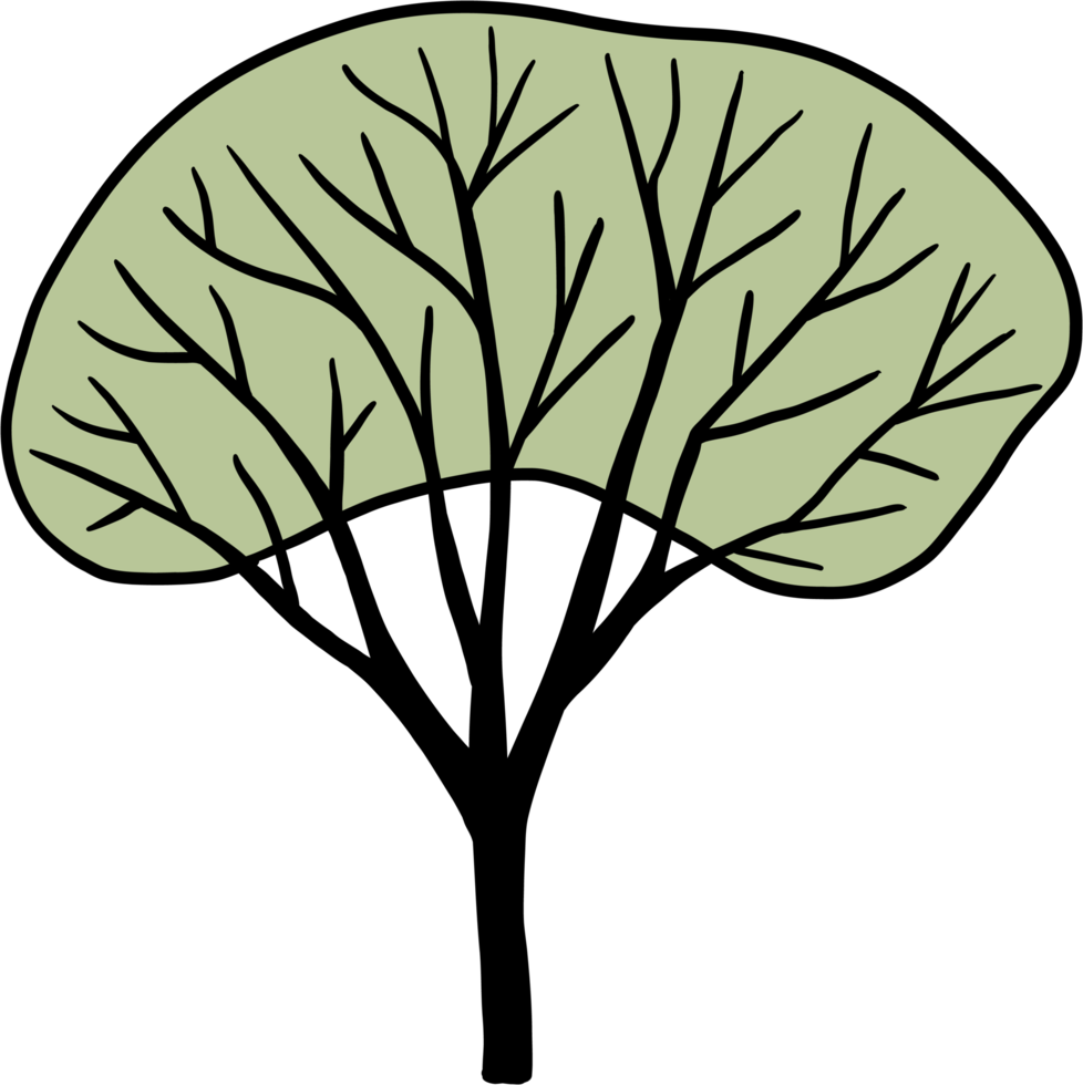 simplicity tree freehand drawing png