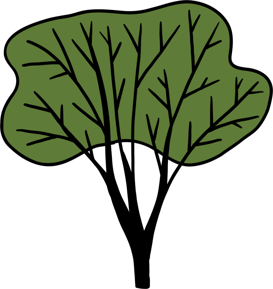 simplicity tree freehand drawing png