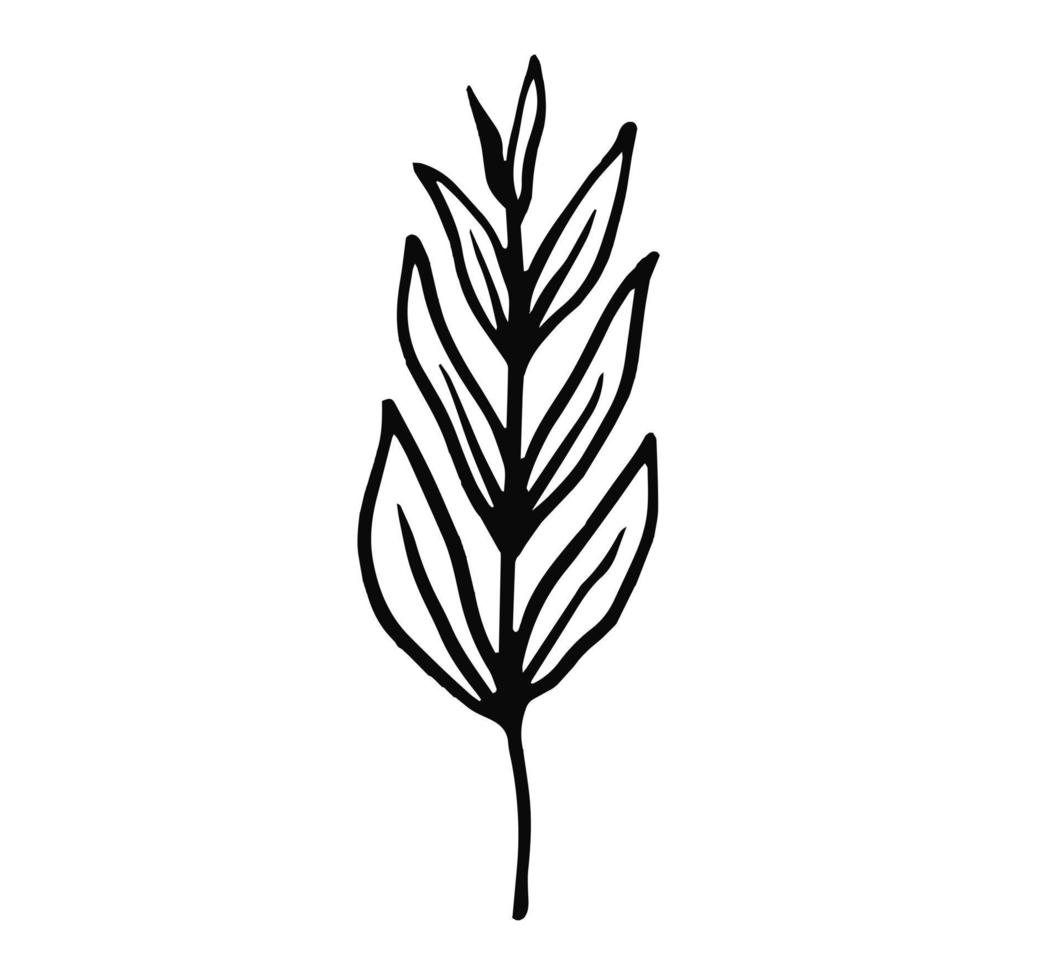 diseño de rama de hoja. símbolo de la flor de la planta. vector de estilo de líneas negras.