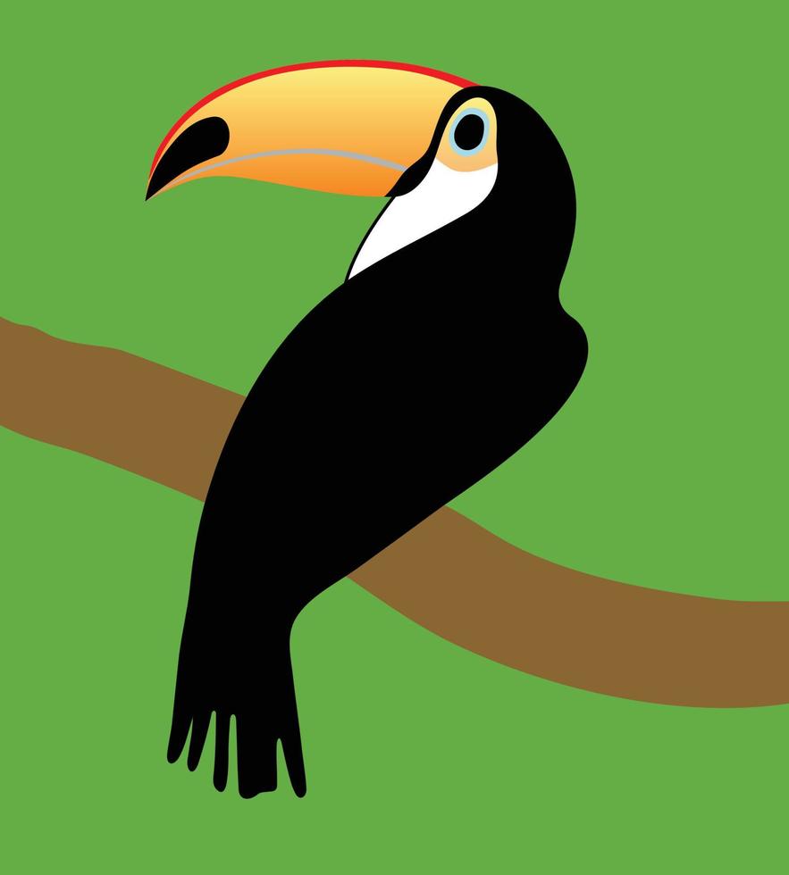 Toucan bird on a branch vector