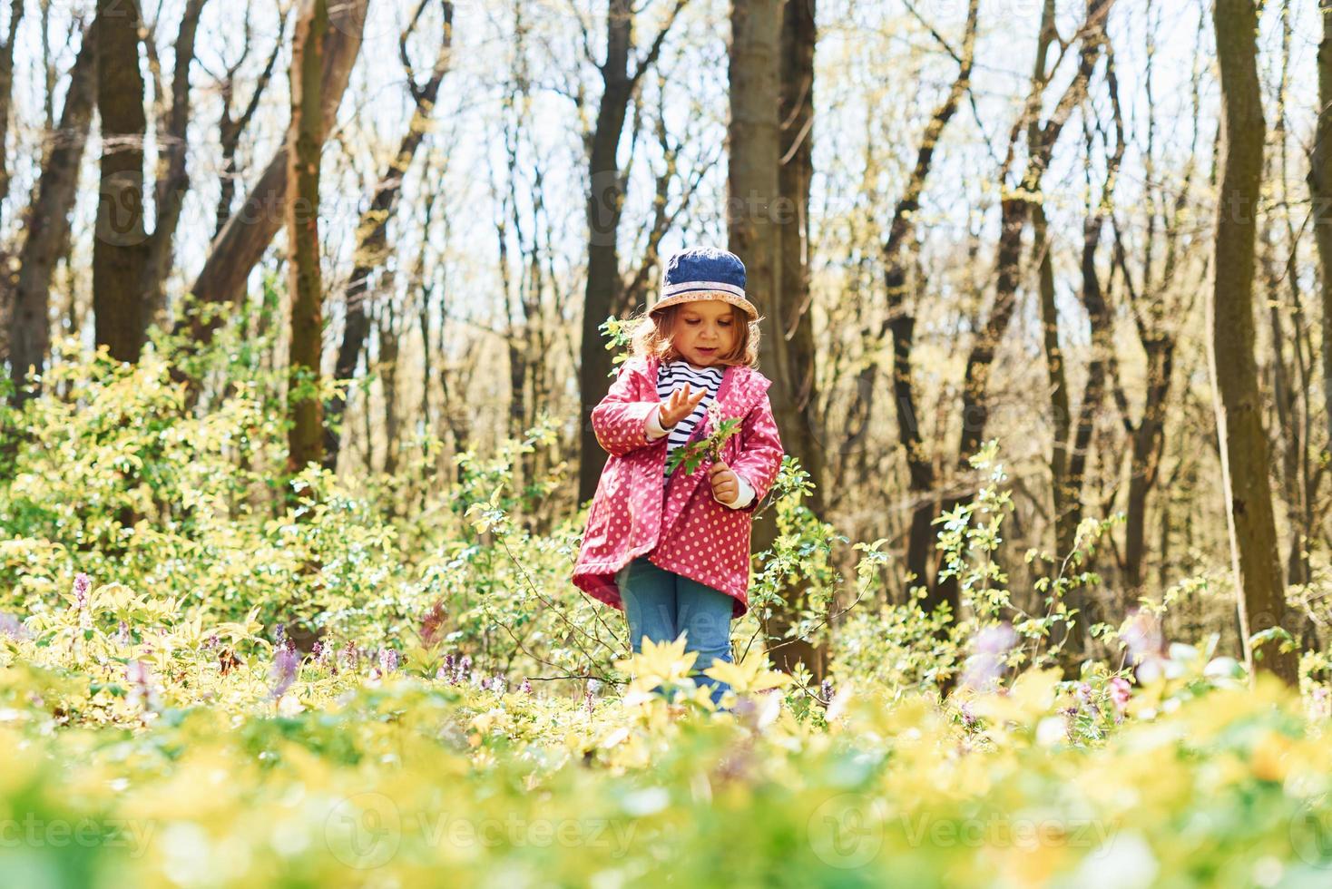 una niña feliz con sombrero azul tiene un paseo por el bosque de primavera  durante el día 15288179 Foto de stock en Vecteezy