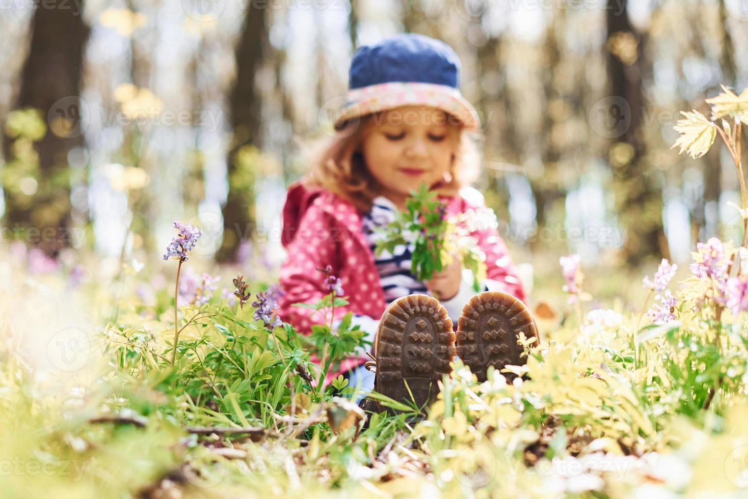 una niña feliz con sombrero azul tiene un paseo por el bosque de primavera  durante el día 15288195 Foto de stock en Vecteezy