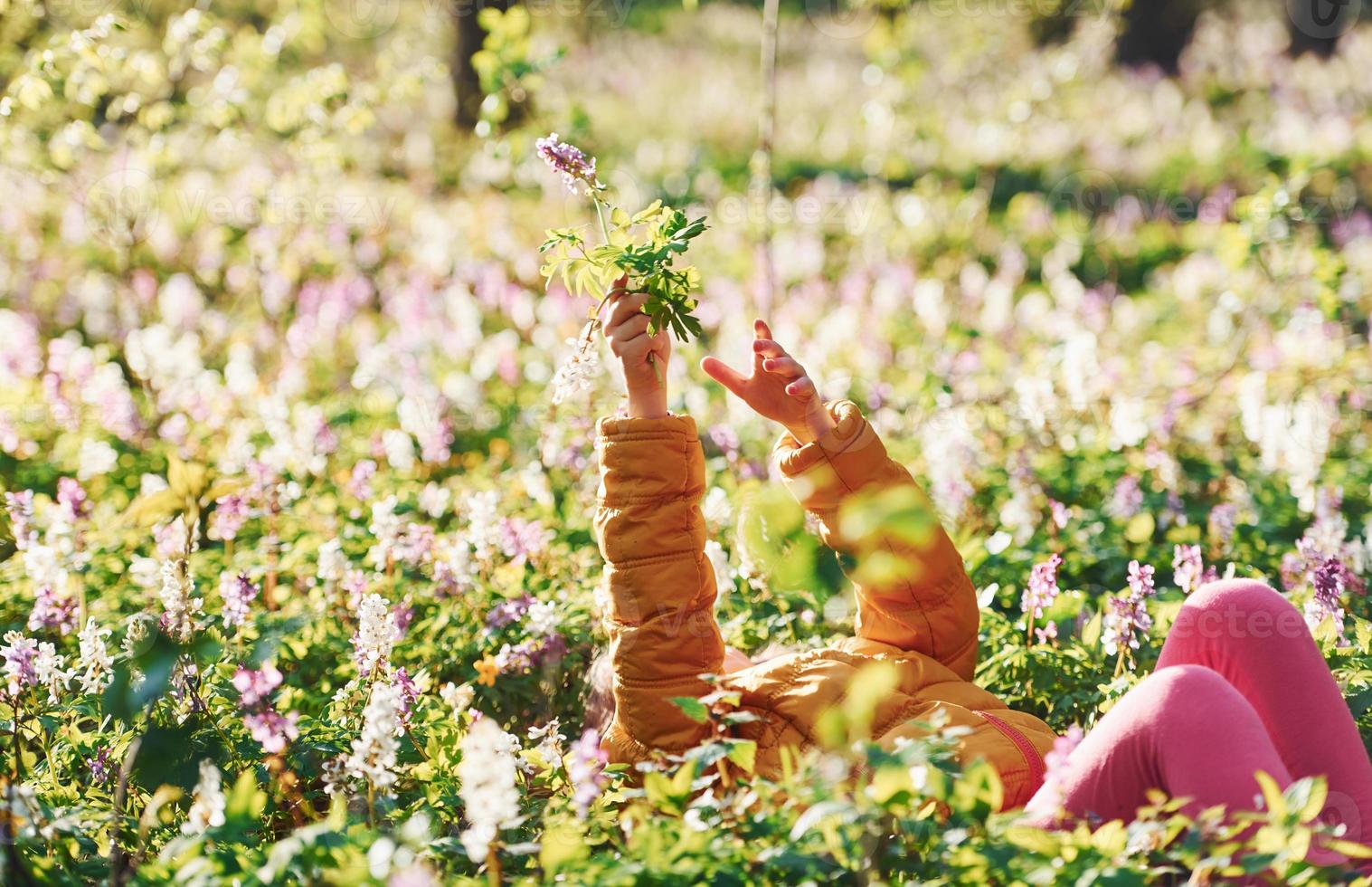 Happy little girl in casual clothes lying down on ground in spring forest at daytime photo