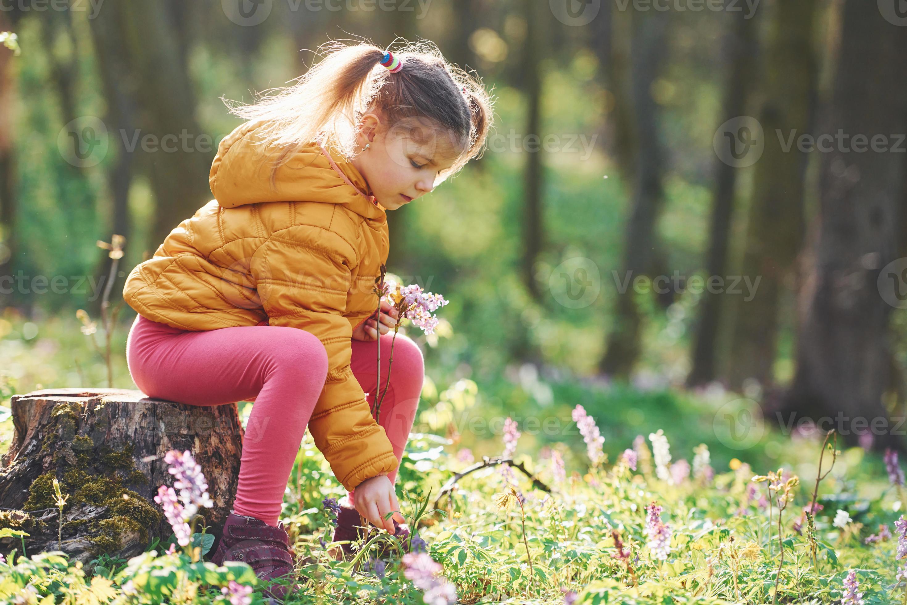 una niña feliz con sombrero azul tiene un paseo por el bosque de primavera  durante el día 15288184 Foto de stock en Vecteezy