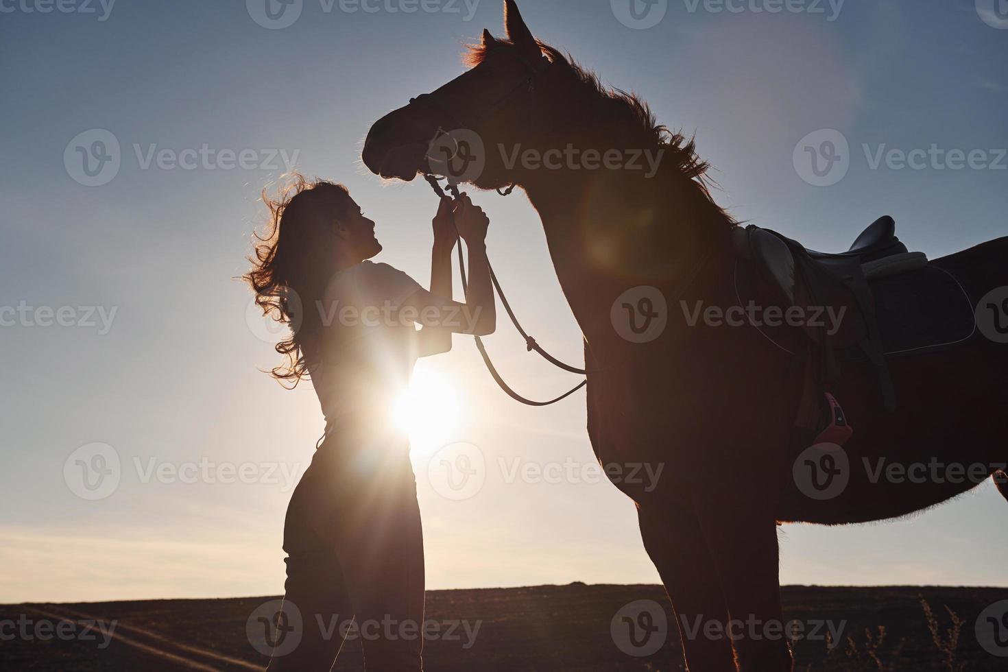 Beautiful sunshine. Young woman standing with her horse in agriculture field at daytime photo