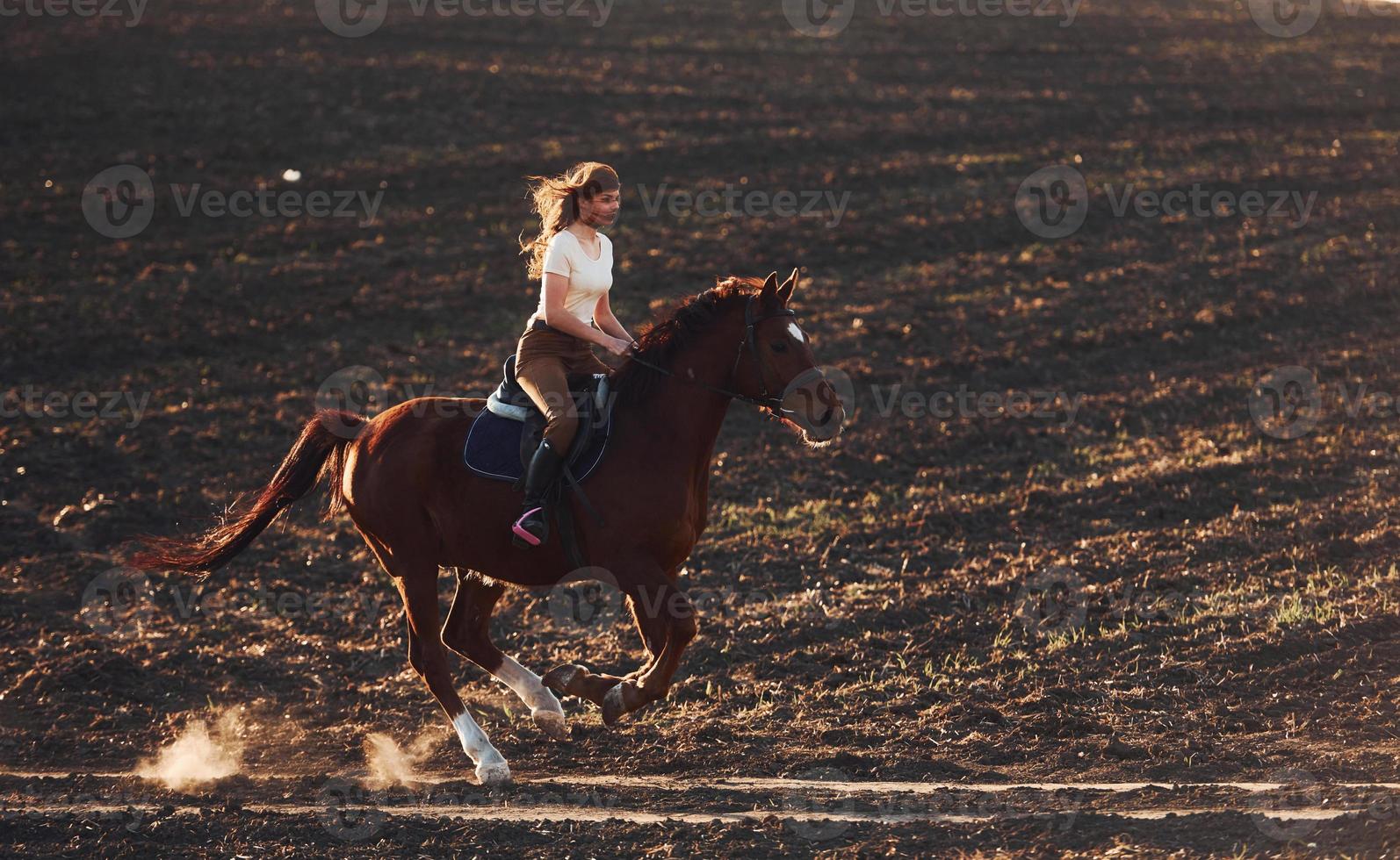 Young woman in protective hat riding her horse in agriculture field at sunny daytime photo