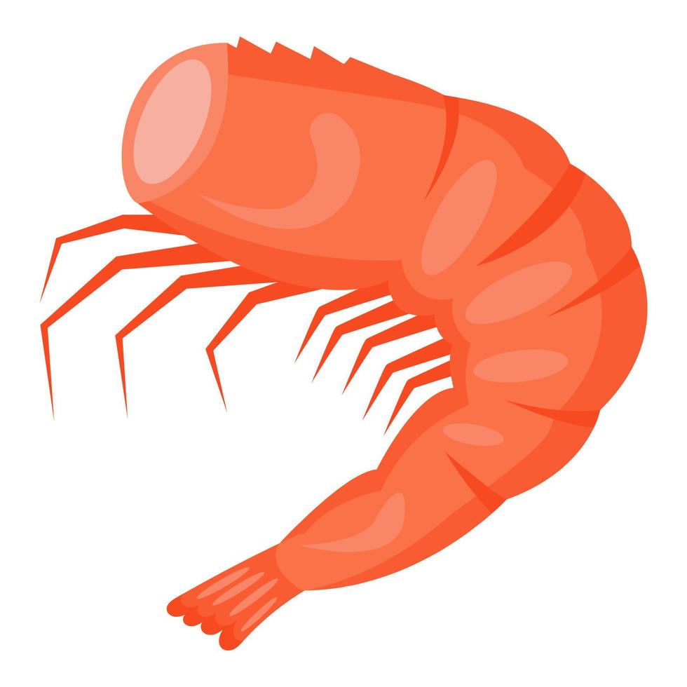 Cooked shrimp without head. Vector illustration.