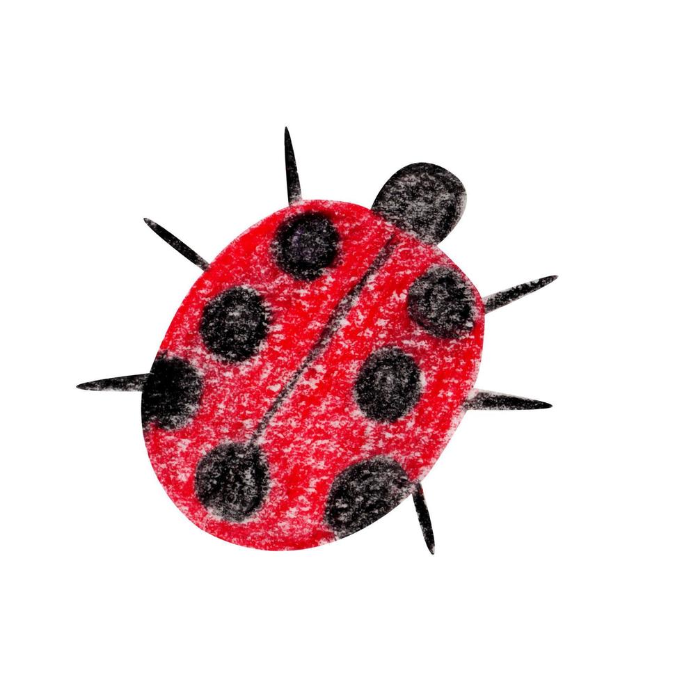 Ladybug drawn by hand with colored pencils. Cartoon style. Isolated on white background vector