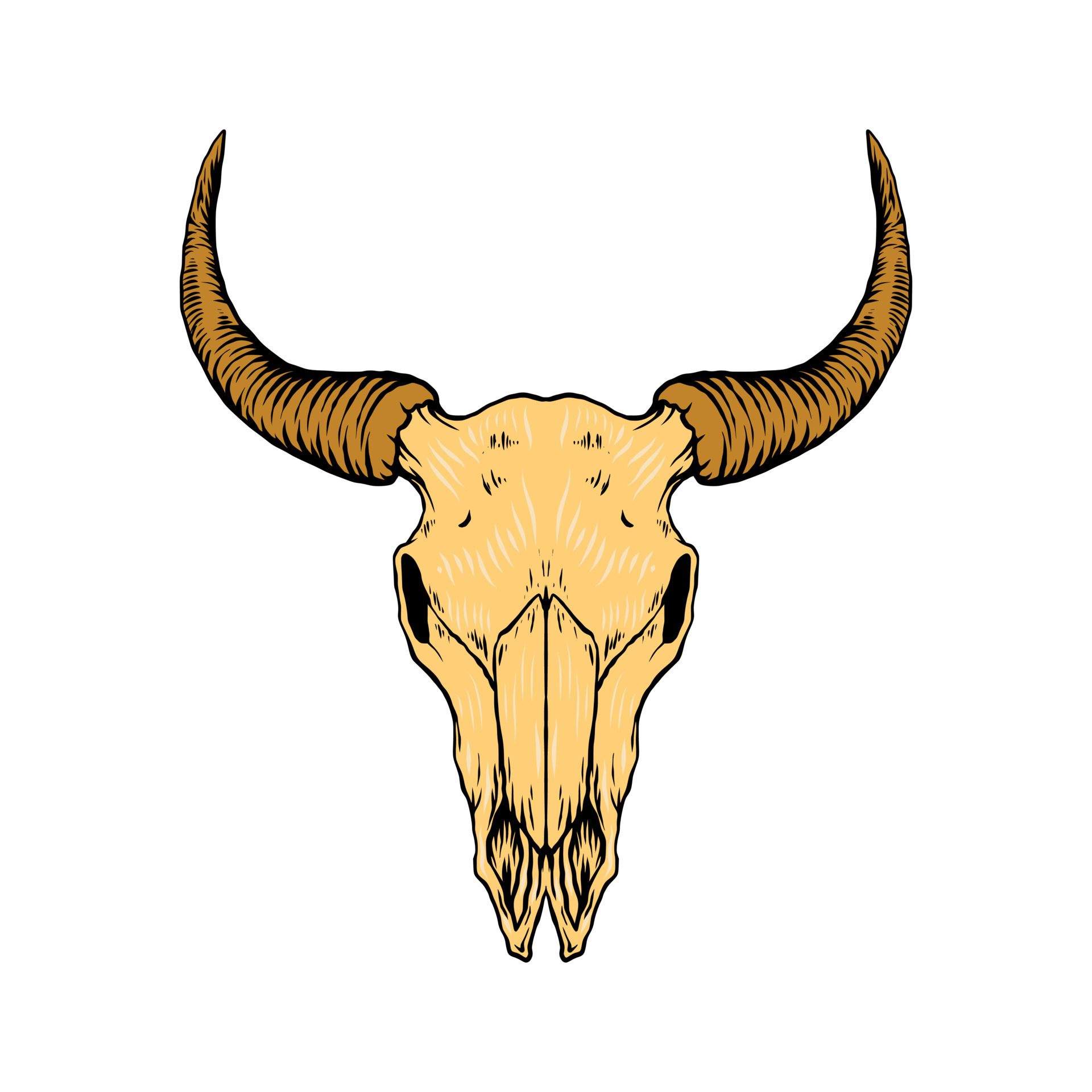 Bull skull vector illustration 15295561 Vector Art at Vecteezy
