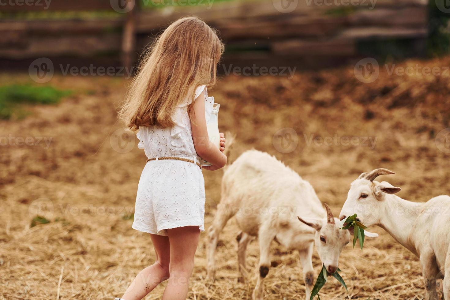 niñita vestida de blanco está en la granja en verano al aire libre con cabras foto