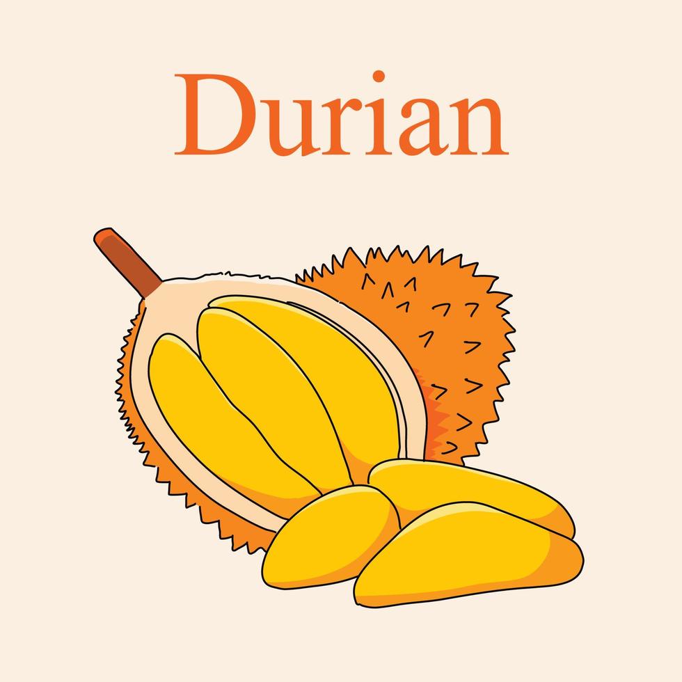 drenaje de la mano del ejemplo del vector de la fruta del durian