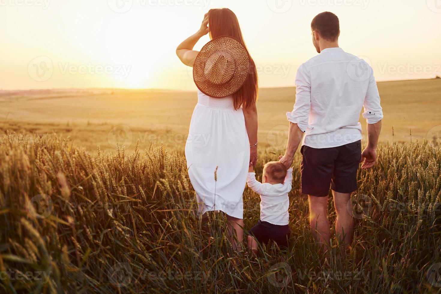 Mother and father with their son spending free time on the field at sunny day time of summer. View from behind photo