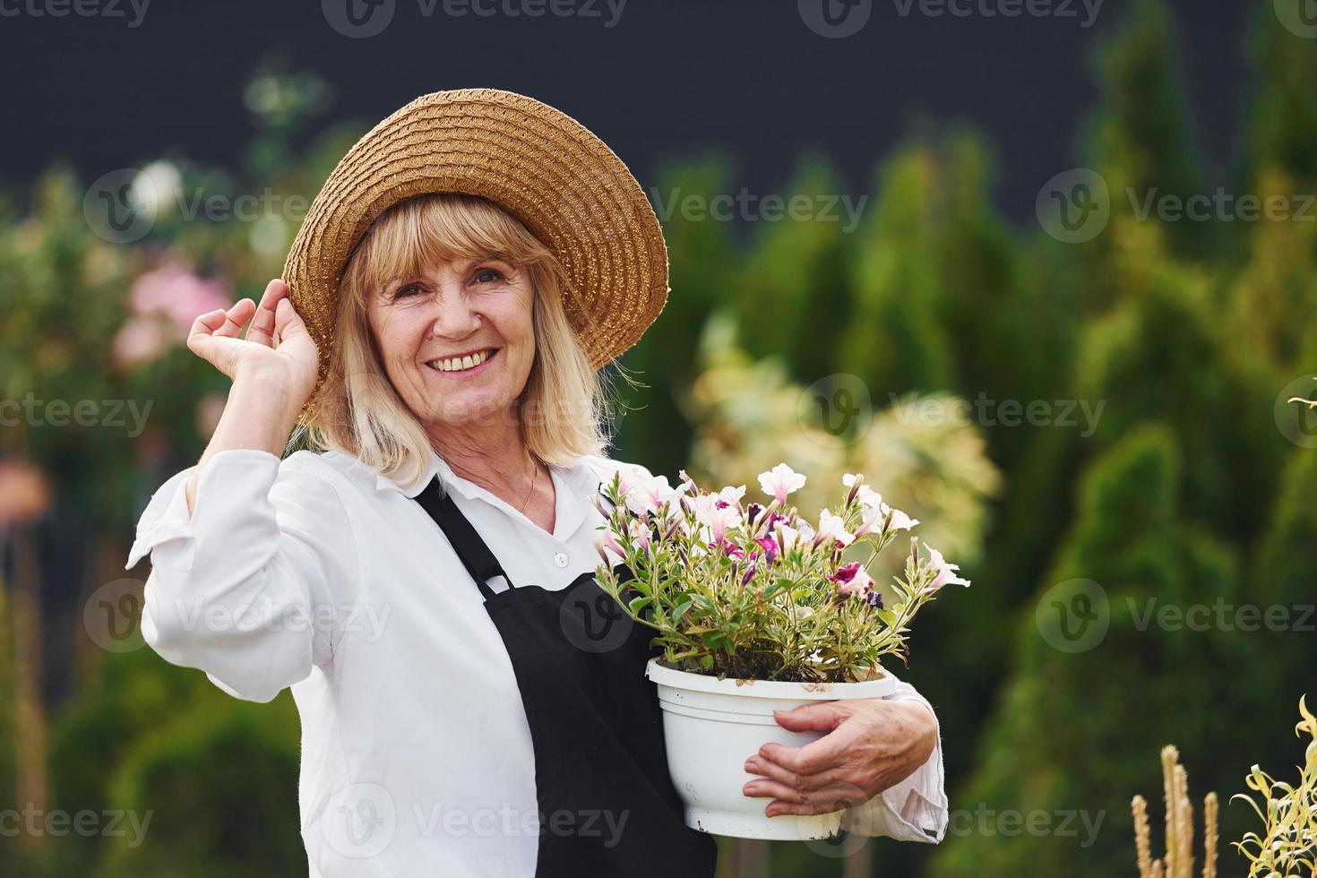 posando con maceta de flores en las manos. la anciana está en el jardín durante el día. concepción de las plantas y las estaciones foto