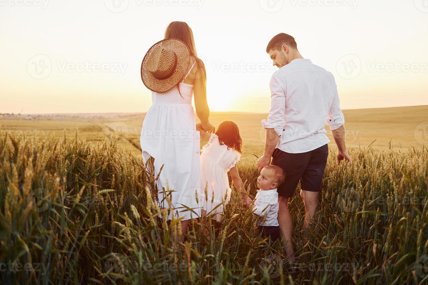 vista desde atrás. familia de cuatro personas que pasan tiempo libre en el campo en un día soleado de verano foto