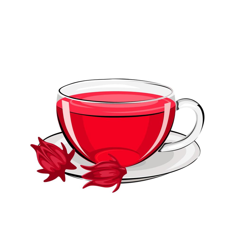 Vector illustration, rosella or Hibiscus sabdariffa tea, served in a glass cup, isolated on a white background.