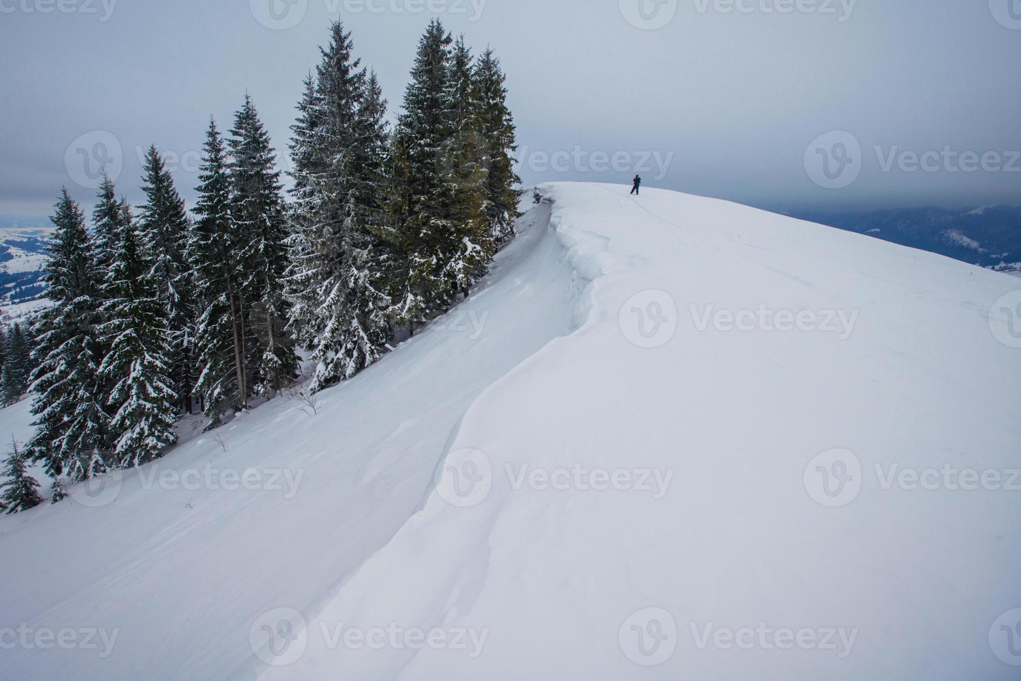 montañas de los Cárpatos de invierno foto