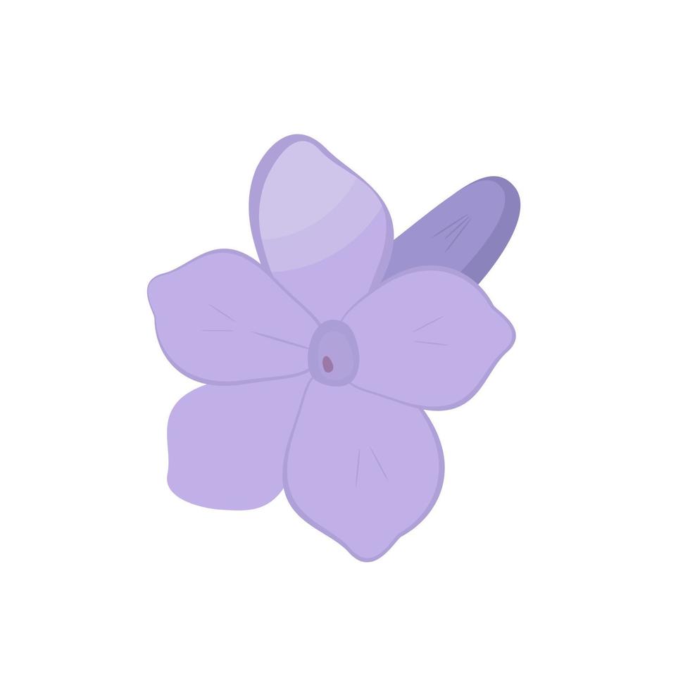 Vector image of a purple lavender flower. Blooming bud with highlights on the petals