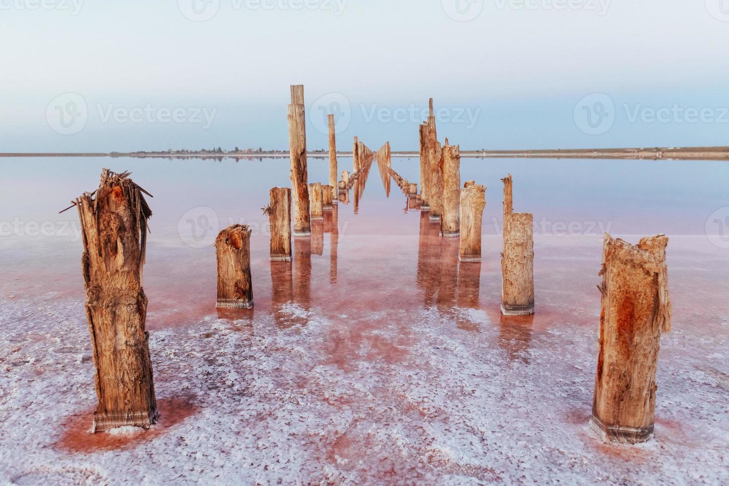 Wooden obstacles in the sea of Jarilgach island, Ukraine. At daytime photo