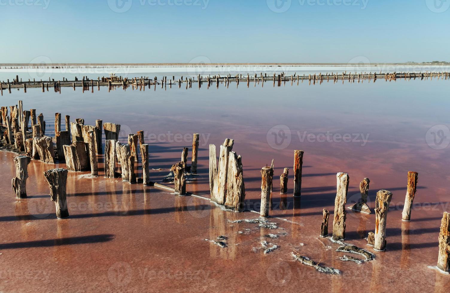 obstáculos de madera en el mar de la isla de jarilgach, ucrania. durante el día foto