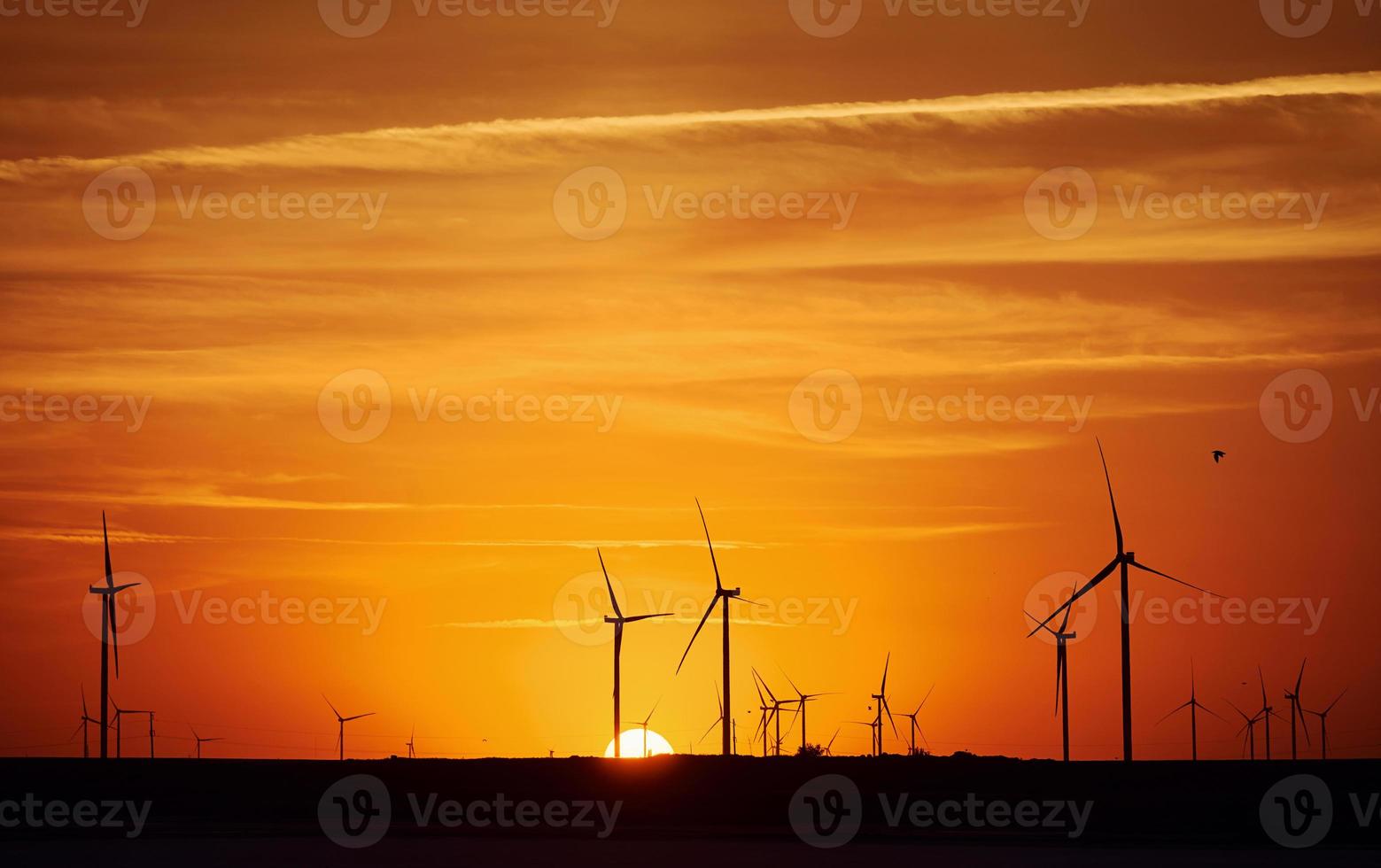 Many of windmills on the Jarilgach island, Ukraine. Sunset time photo