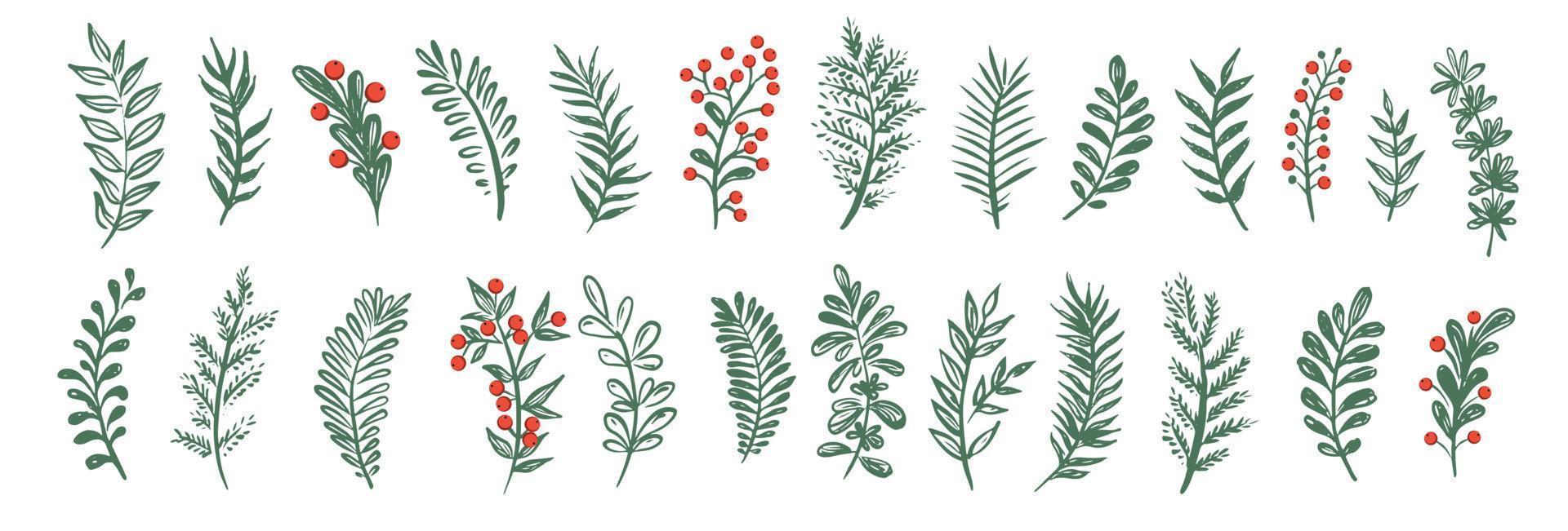 Branches collection hand drawn, vector. vector