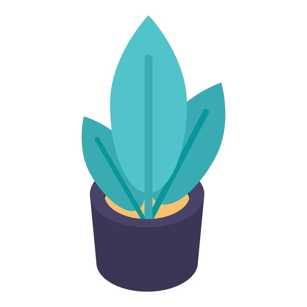 Plant pot icon, isometric style vector