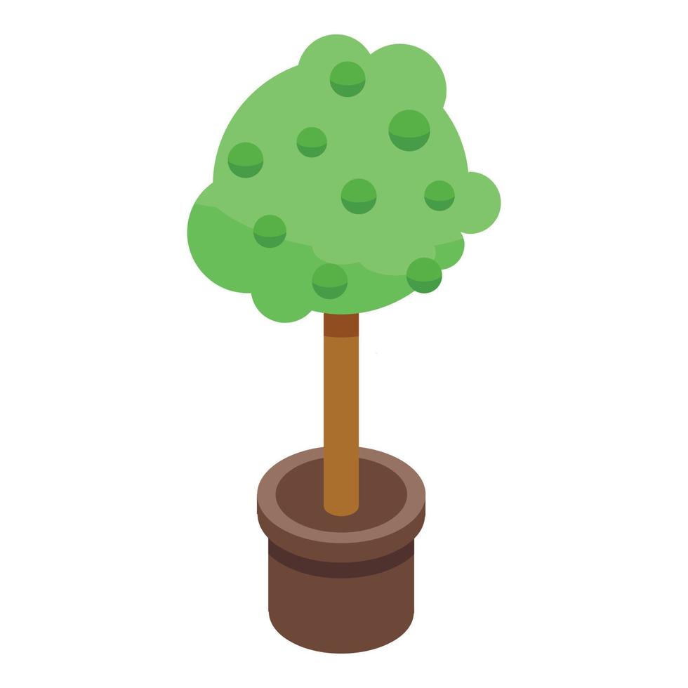 Lime plant pot icon, isometric style vector