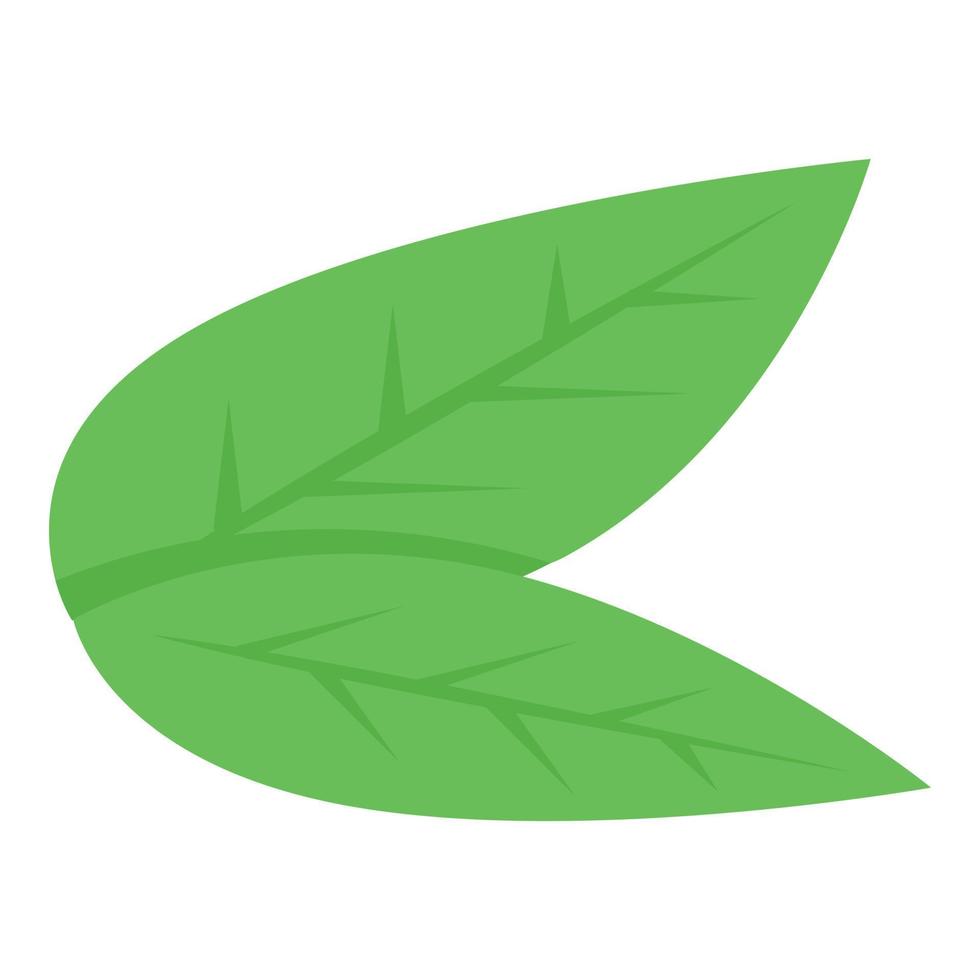 Lime leafs icon, isometric style vector