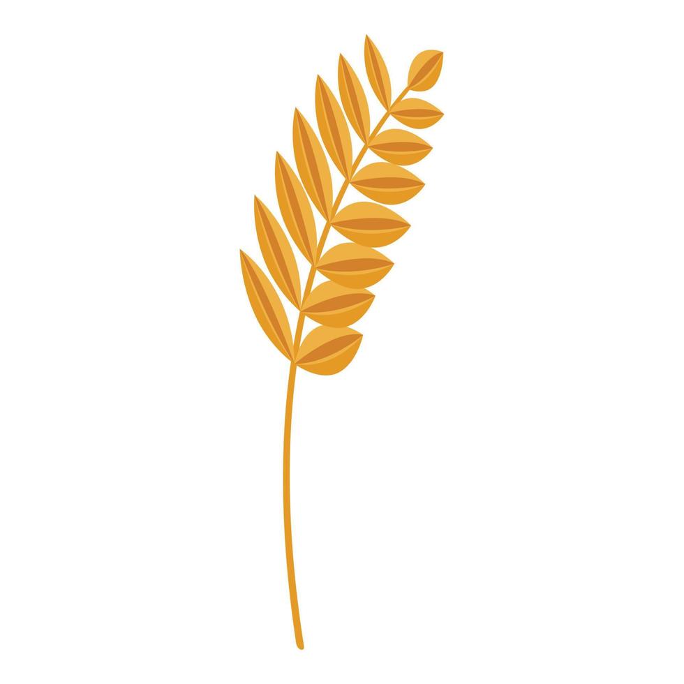 Cereal wheat icon, isometric style vector