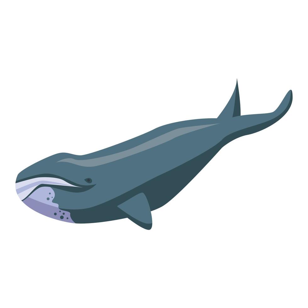 North whale icon, isometric style vector