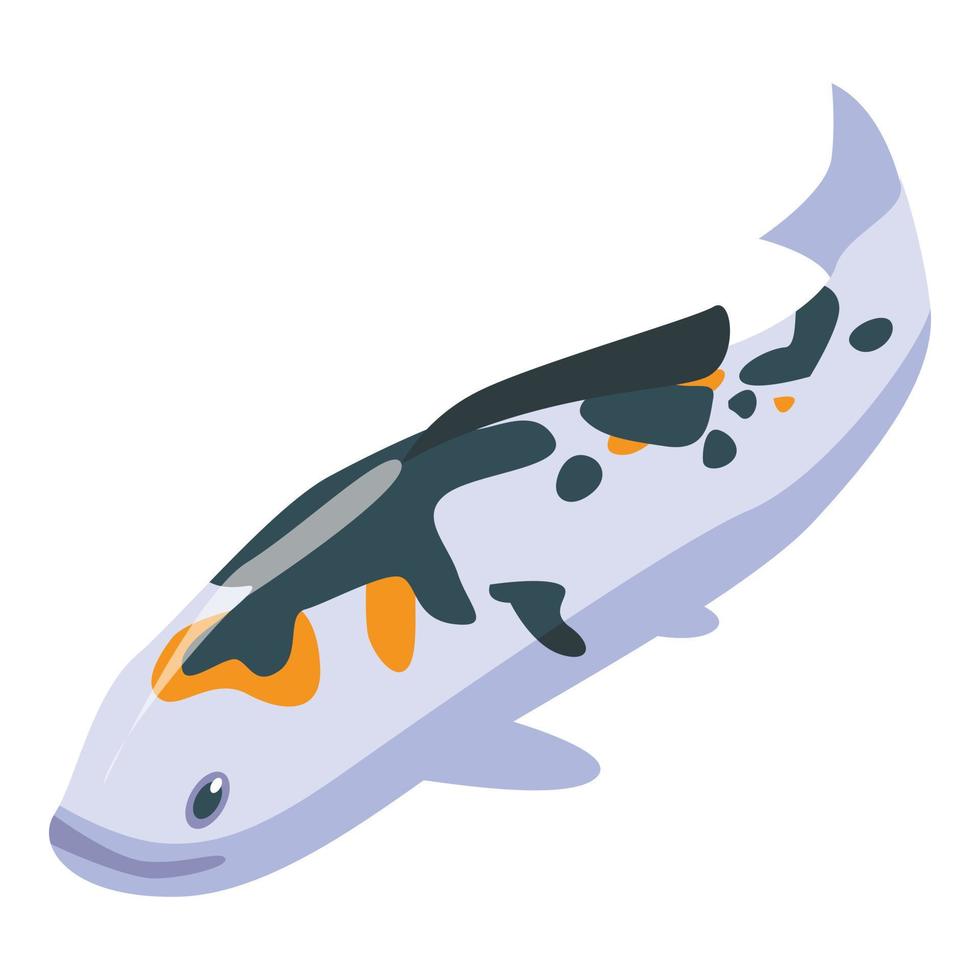 Splash color koi carp icon, isometric style vector