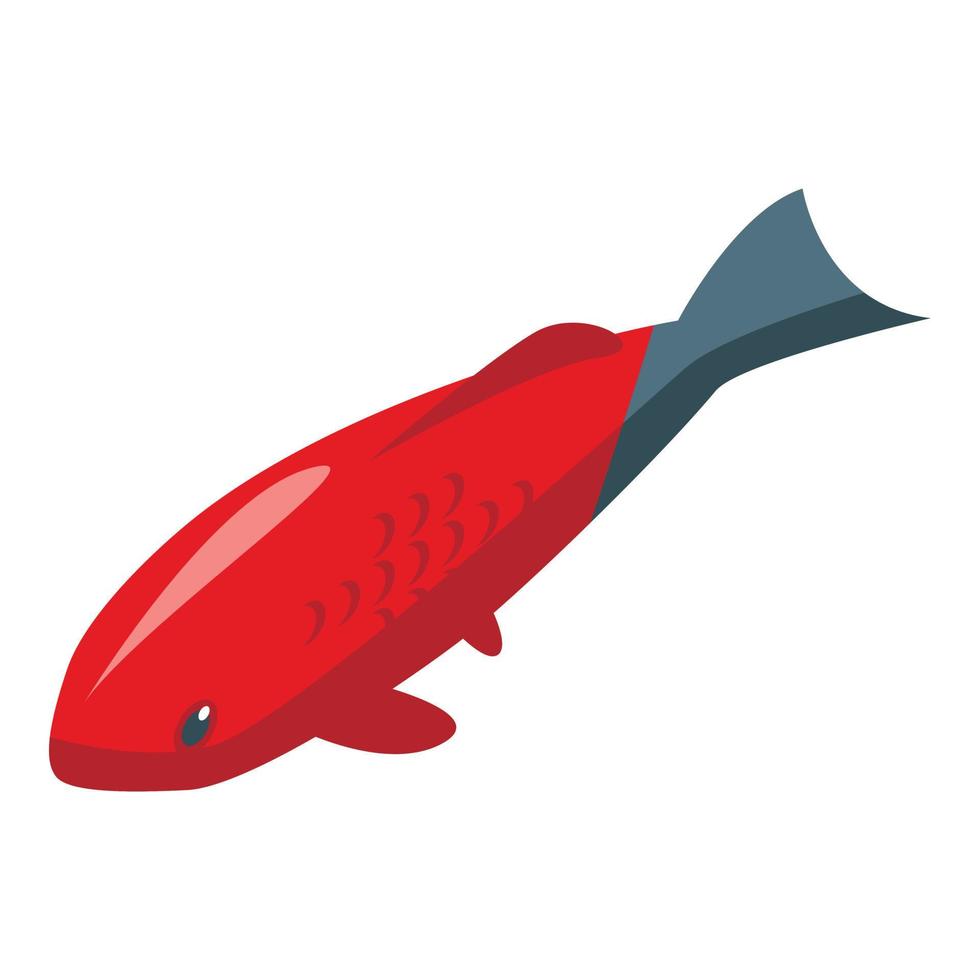 icono de carpa koi roja, estilo isométrico vector