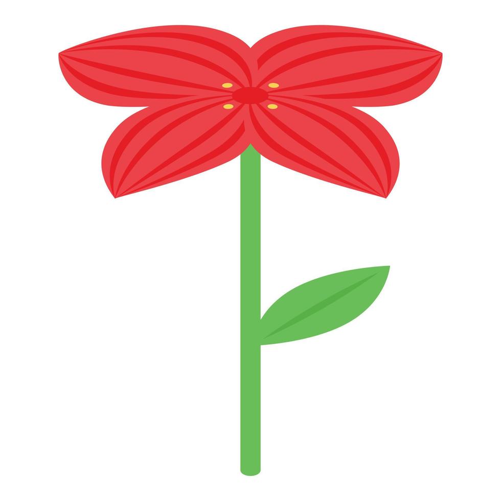 Mexican red flower icon, isometric style vector