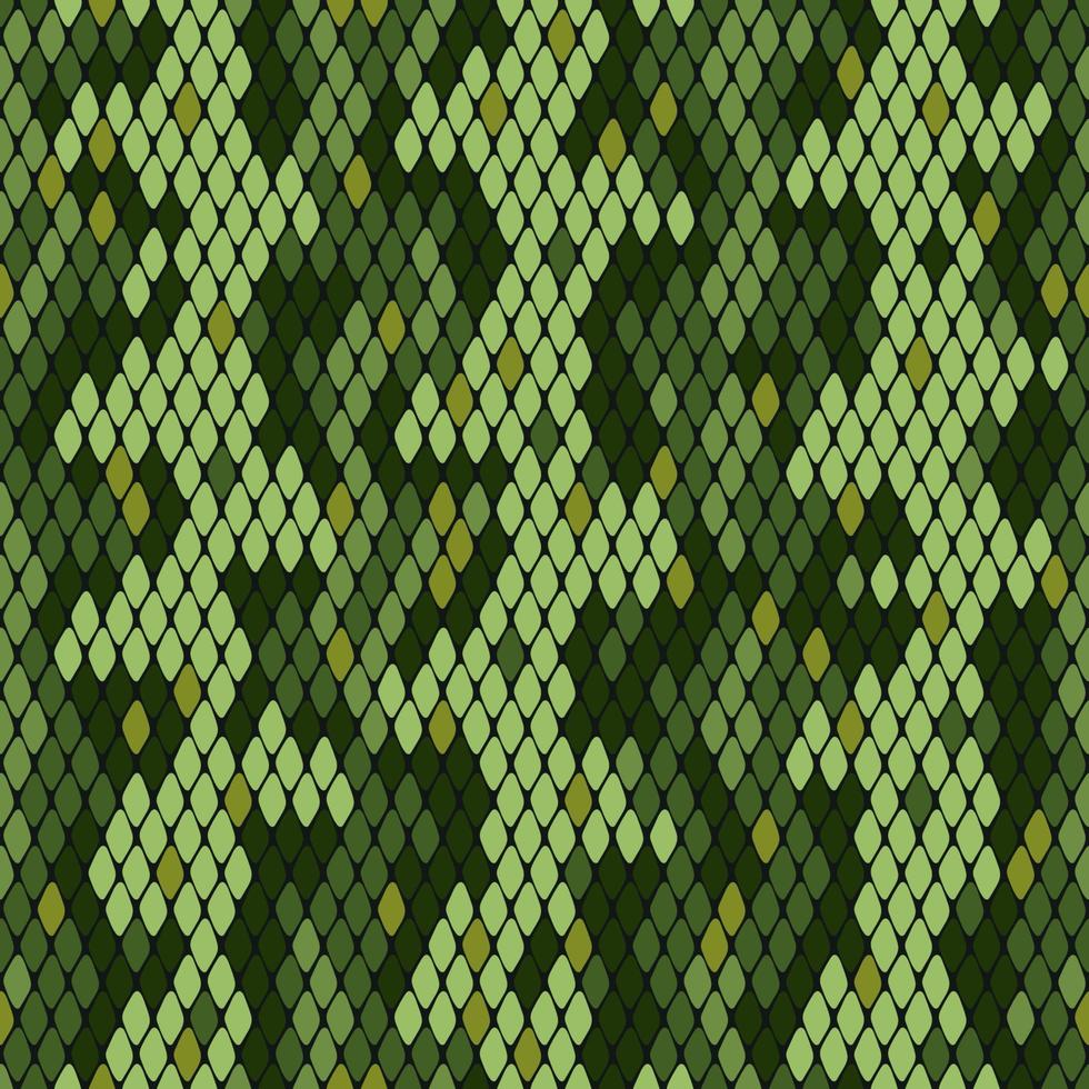SNAKE SKIN 2 pattern 15306014 Vector Art at Vecteezy SNAKE SKIN 2 pattern 15306014 Vector Art at Vecteezy