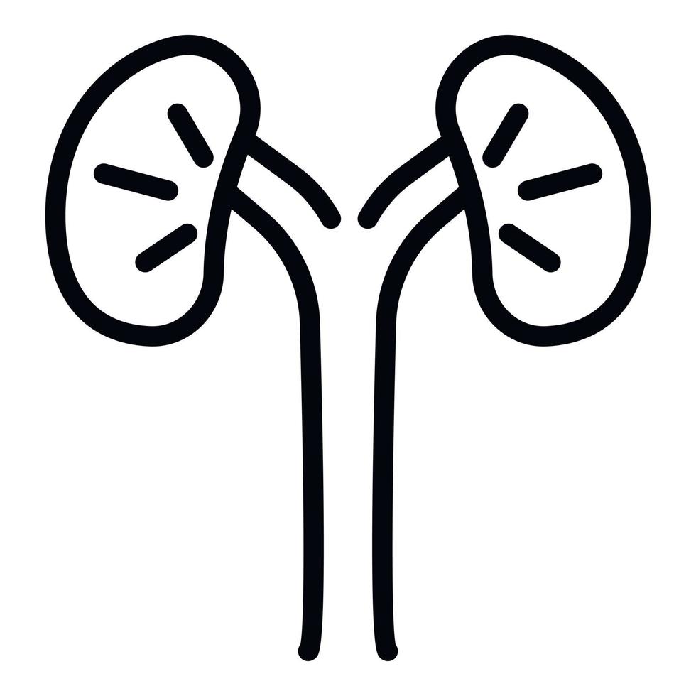 Animal kidneys icon, outline style vector