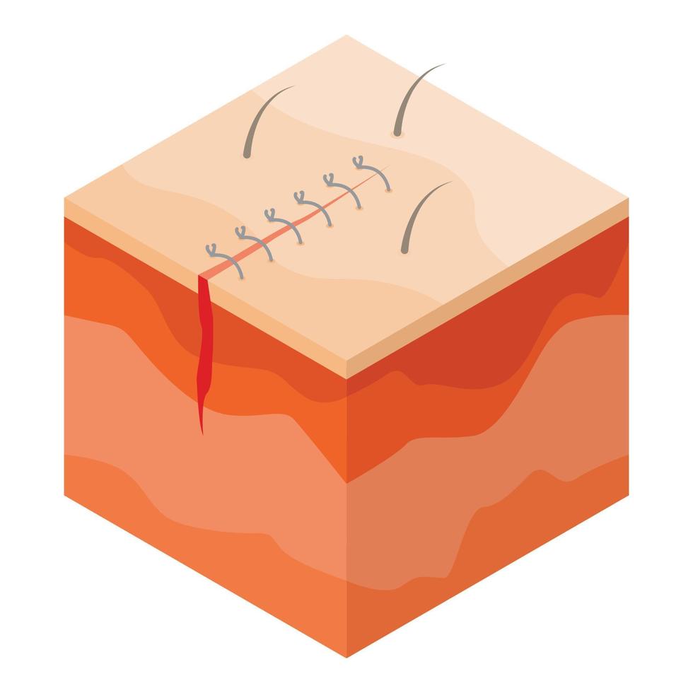 Medical surgical suture icon, isometric style vector