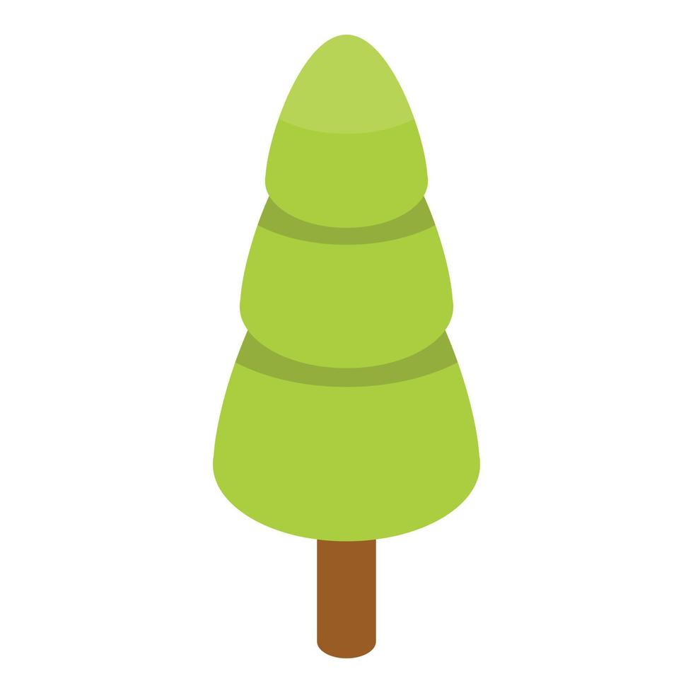 Fir tree icon, isometric style vector