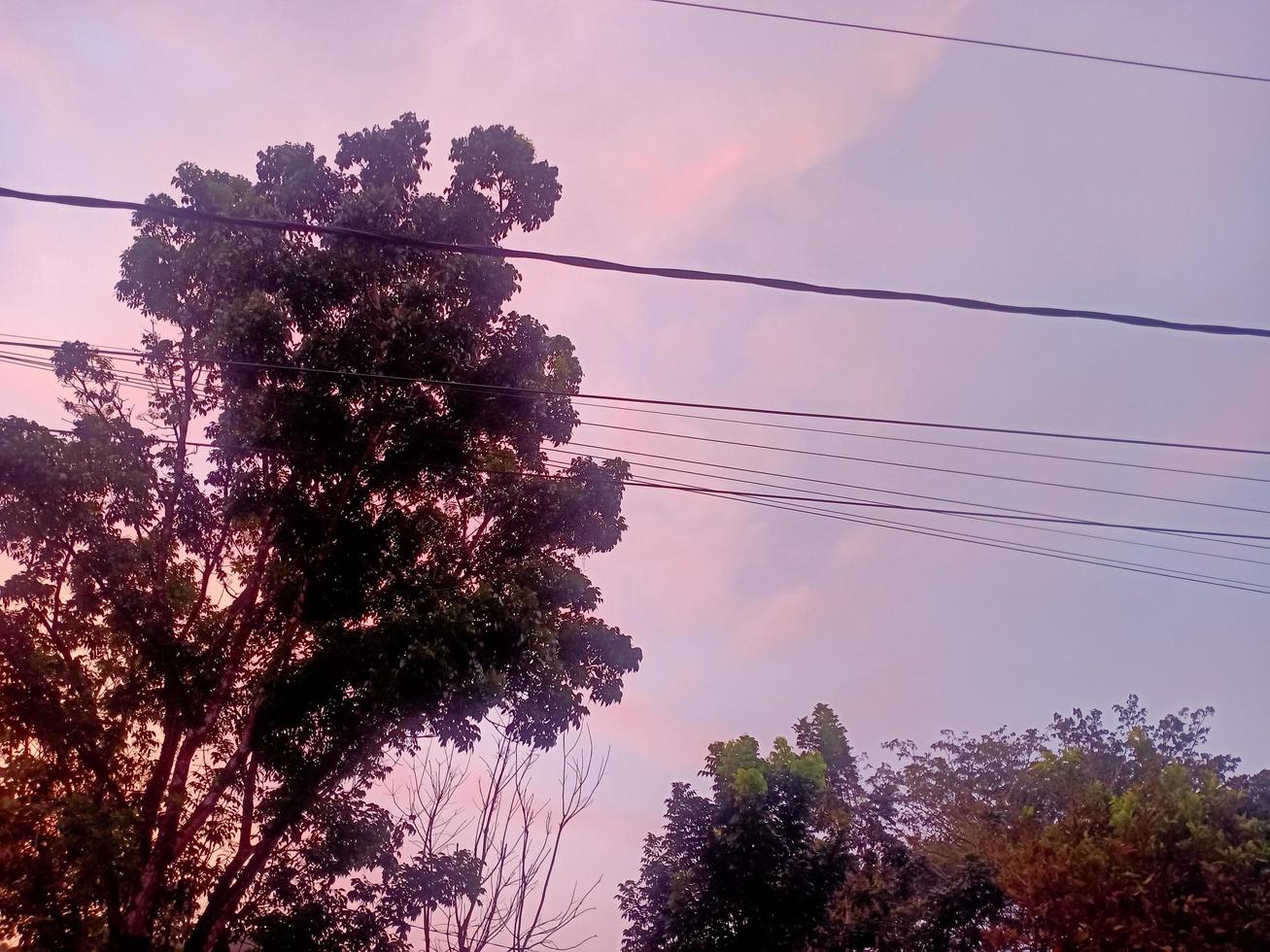 hermoso paisaje natural en el cielo azul, nubes blancas y muchos árboles verdes a su alrededor foto