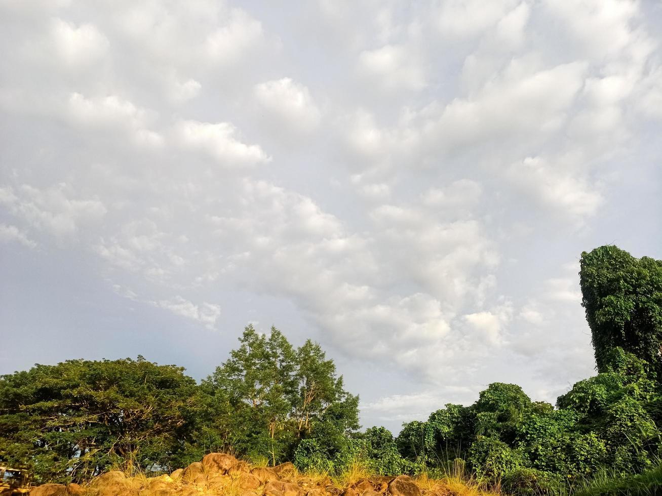 hermoso paisaje natural en el cielo azul, nubes blancas y muchos árboles verdes a su alrededor foto