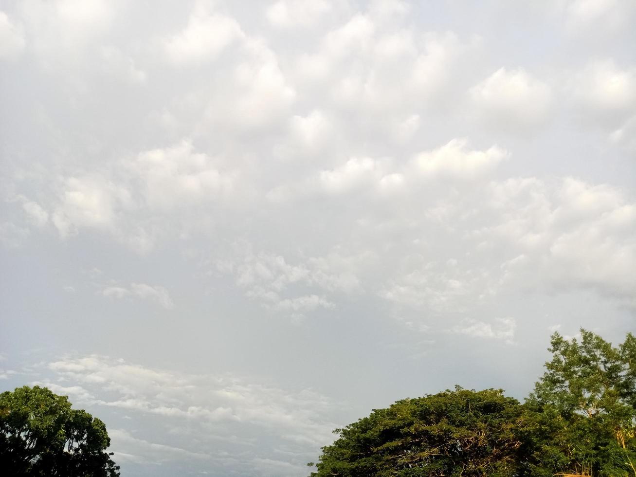 hermoso paisaje natural en el cielo azul, nubes blancas y muchos árboles verdes a su alrededor foto