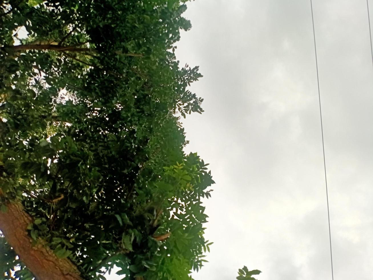 hermoso paisaje natural en el cielo azul, nubes blancas y muchos árboles verdes a su alrededor foto