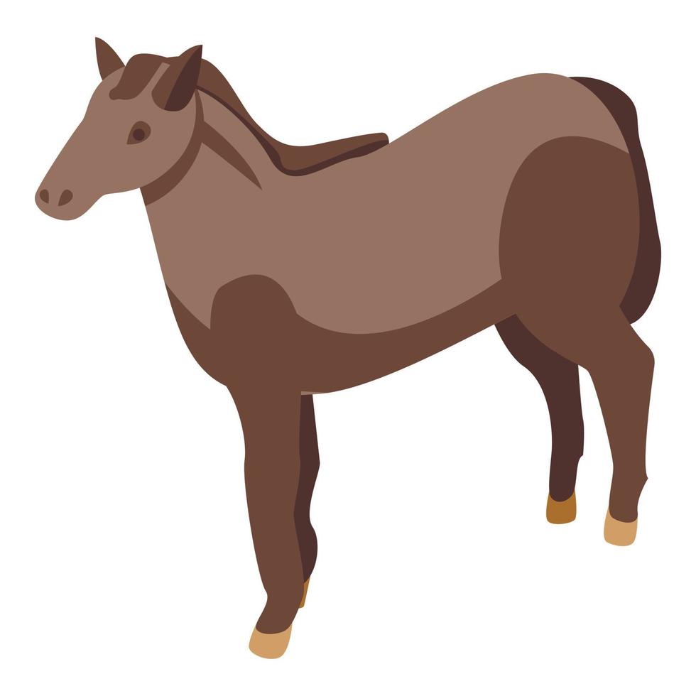 Luck horse icon, isometric style vector